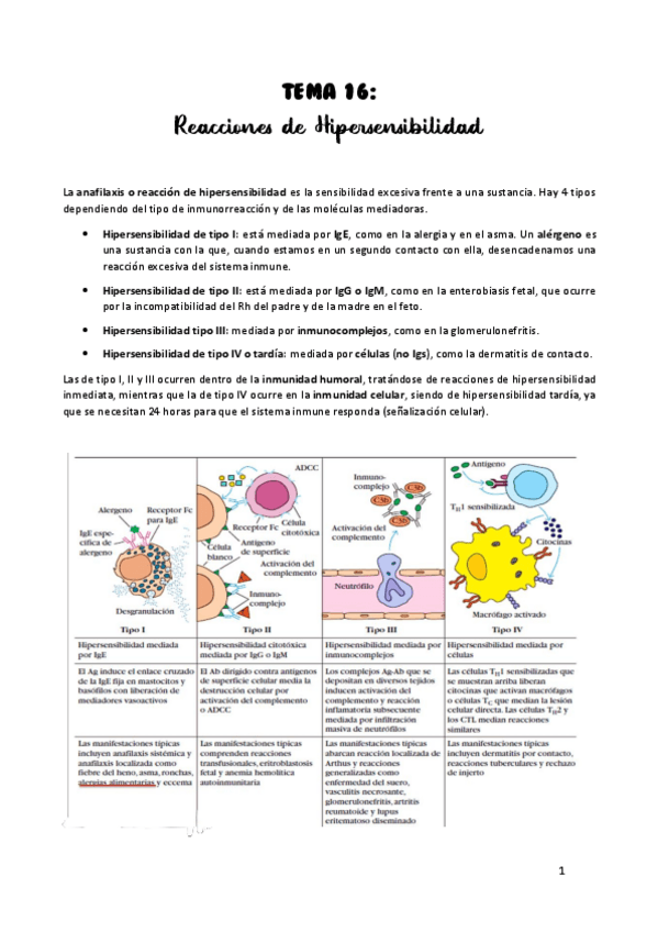 Miniatura del documento TEMA-16.pdf
