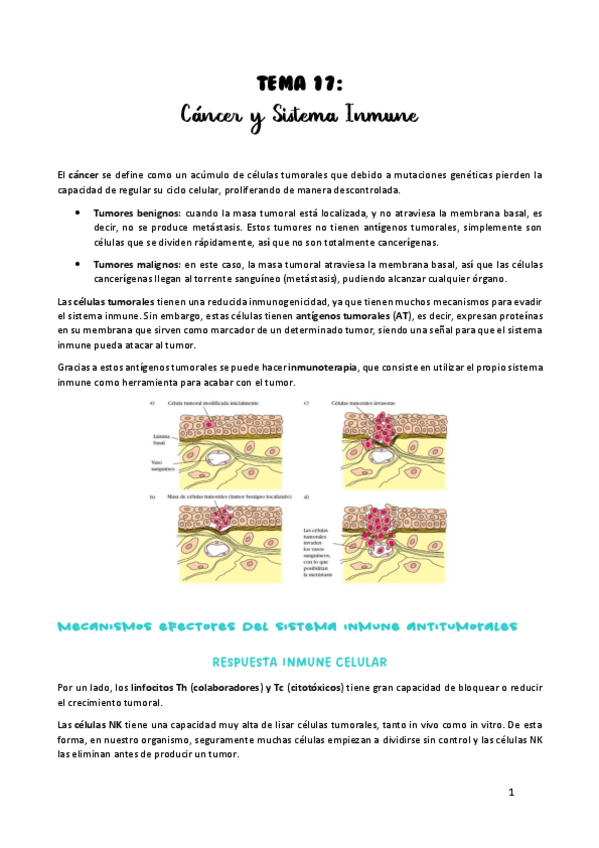 Miniatura del documento TEMA-17.pdf