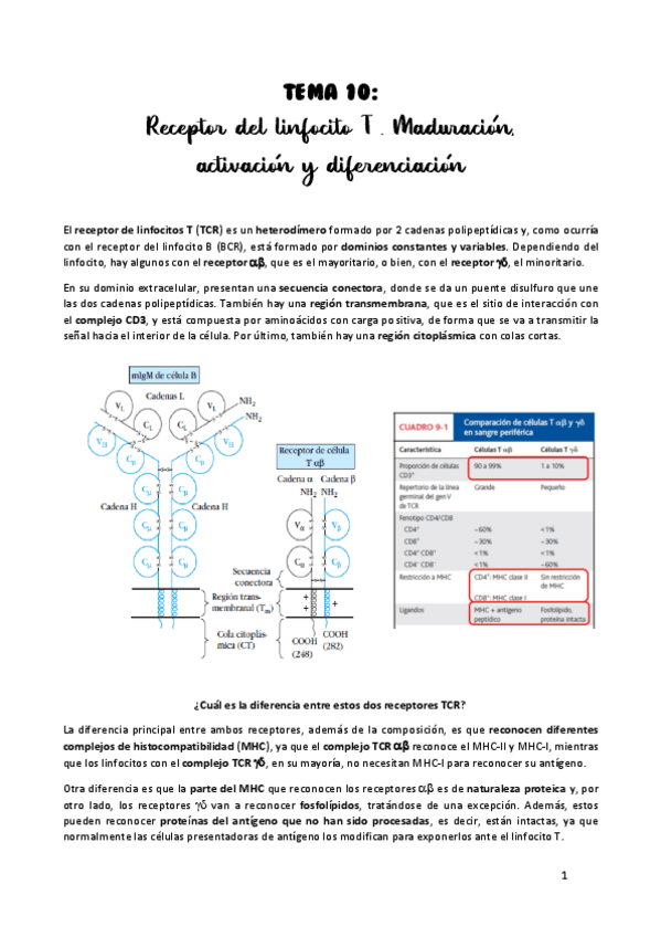 Miniatura del documento TEMA-10.pdf