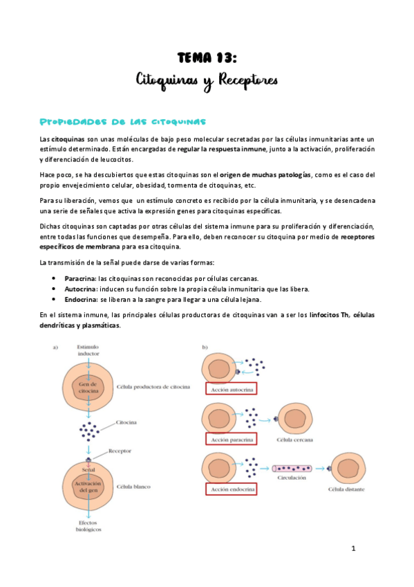 Miniatura del documento TEMA-13.pdf