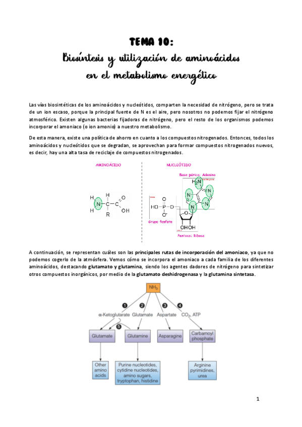 Miniatura del documento TEMA-10.pdf