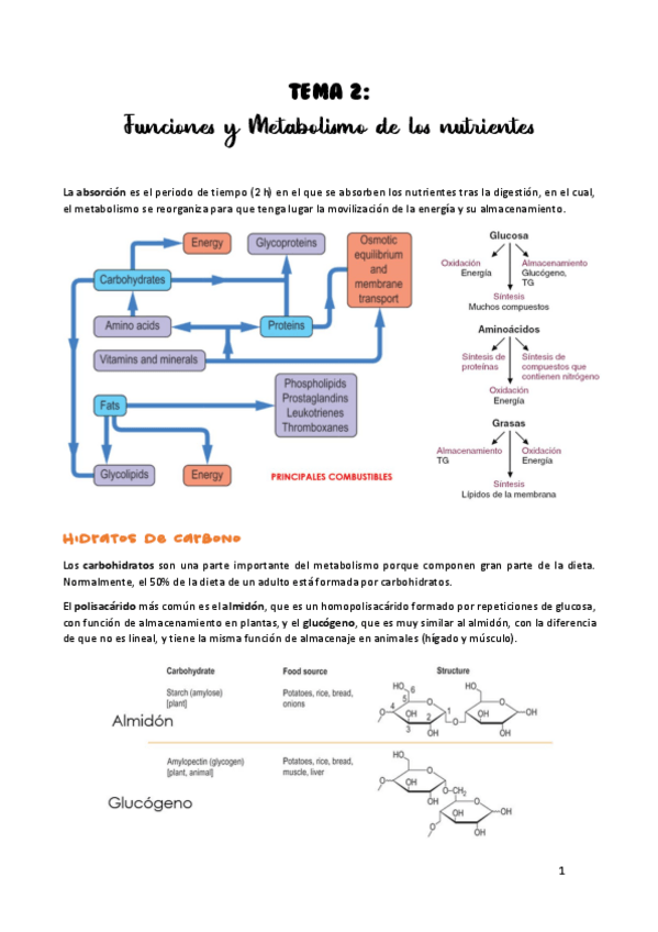 Miniatura del documento TEMA-2.pdf