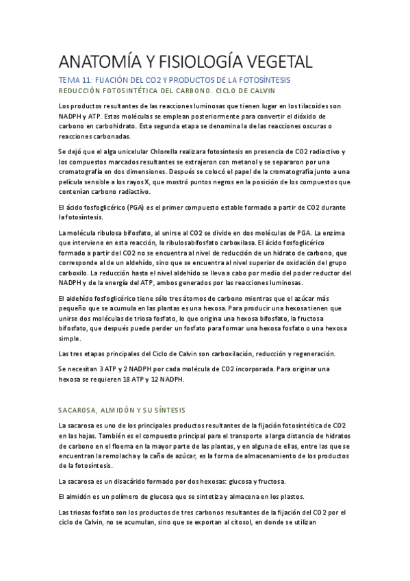 Miniatura del documento AFV T11.pdf