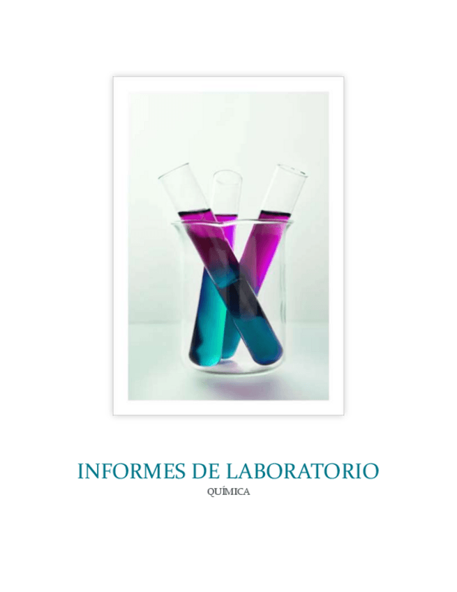 Miniatura del documento INFORMES-PRACTICAS-LABORATORIO.pdf