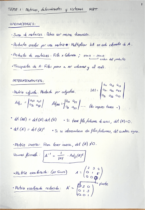 Miniatura del documento Tema-1.pdf