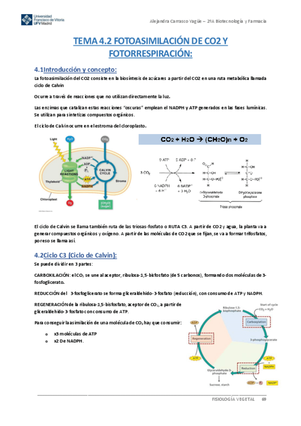 Miniatura del documento Apuntes-TEMA-4.2-Fotoasimilacion-de-CO2-y-Fotorrespiracion.pdf