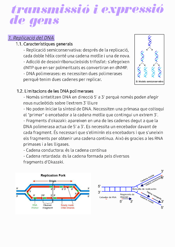 Miniatura del documento Transmissio-i-expressio-dels-gens.pdf