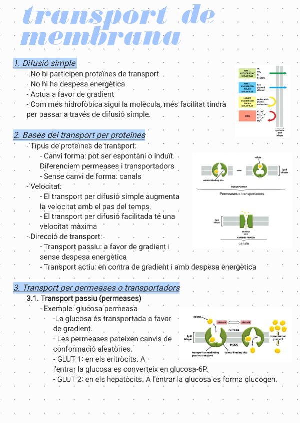 Miniatura del documento Transport-de-membrana.pdf