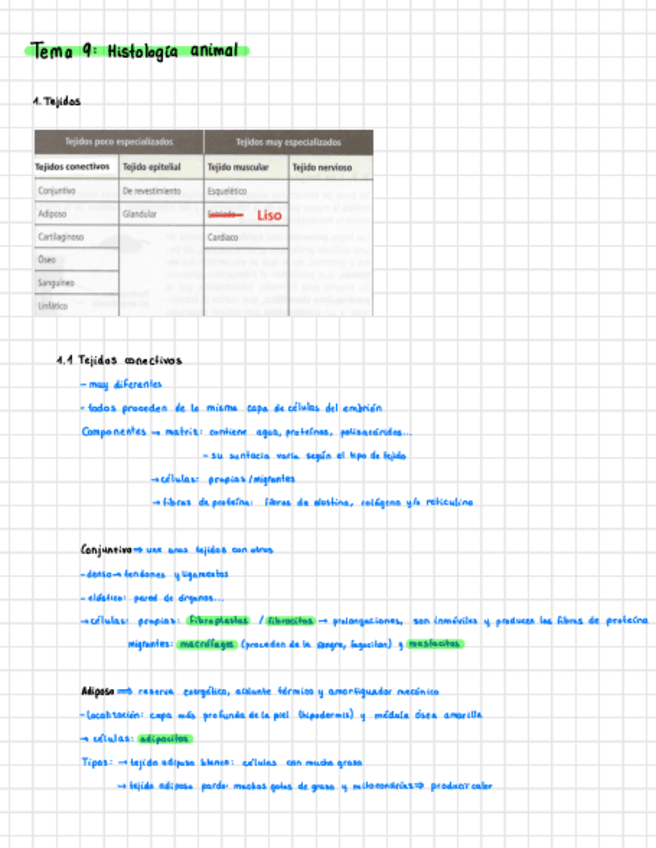 Miniatura del documento Tema-9.2-Histologia-animal.pdf