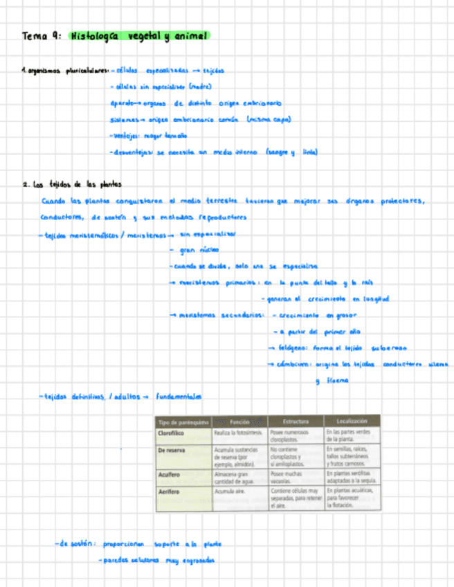 Miniatura del documento Tema-9.1-Histologia-vegetal.pdf