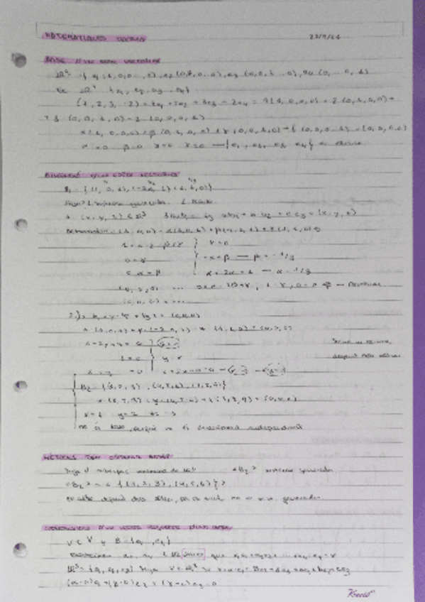 Miniatura del documento apuntes-clase-temas-1-al-8.pdf