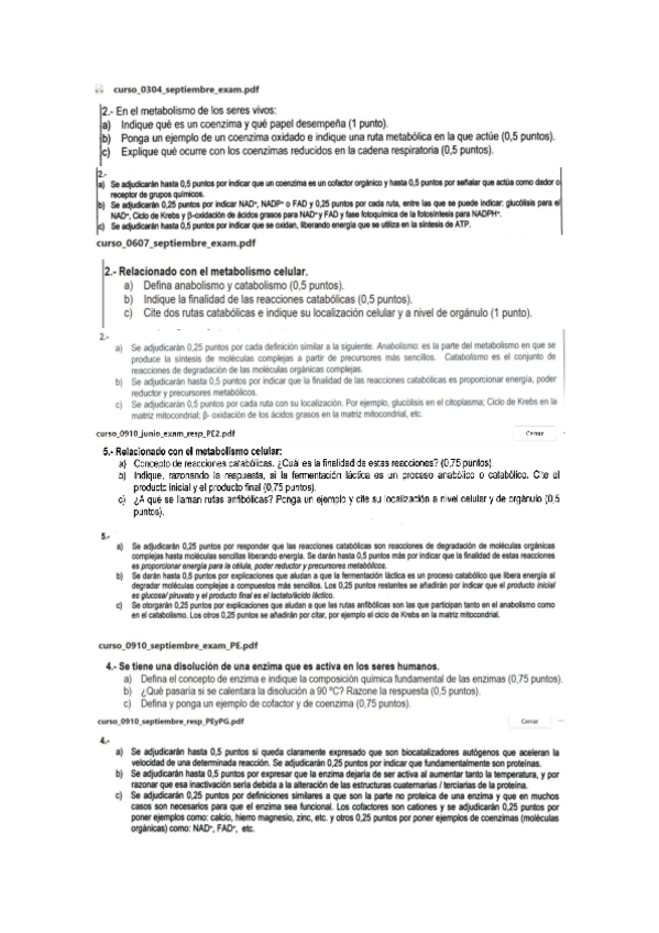 Miniatura del documento T11.pdf