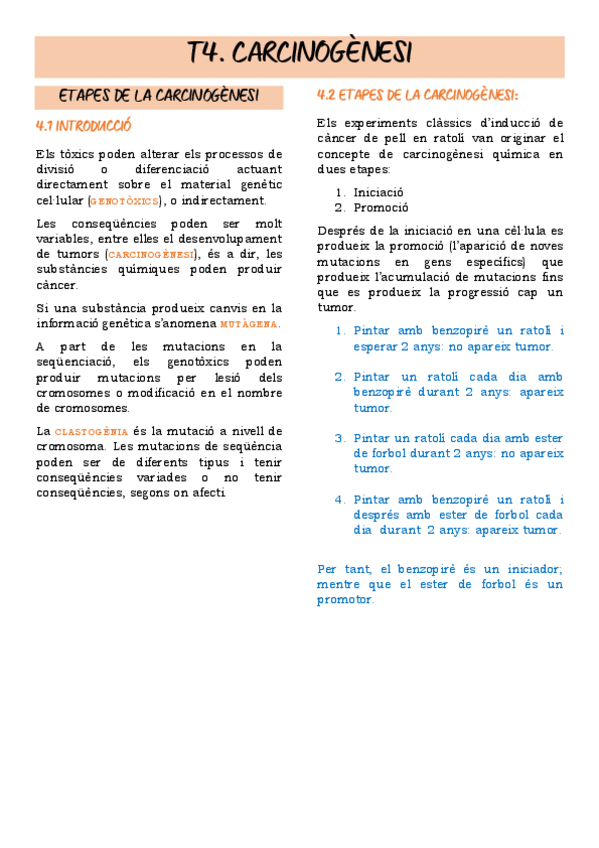 Miniatura del documento T4.-CARCINOGENESI.pdf
