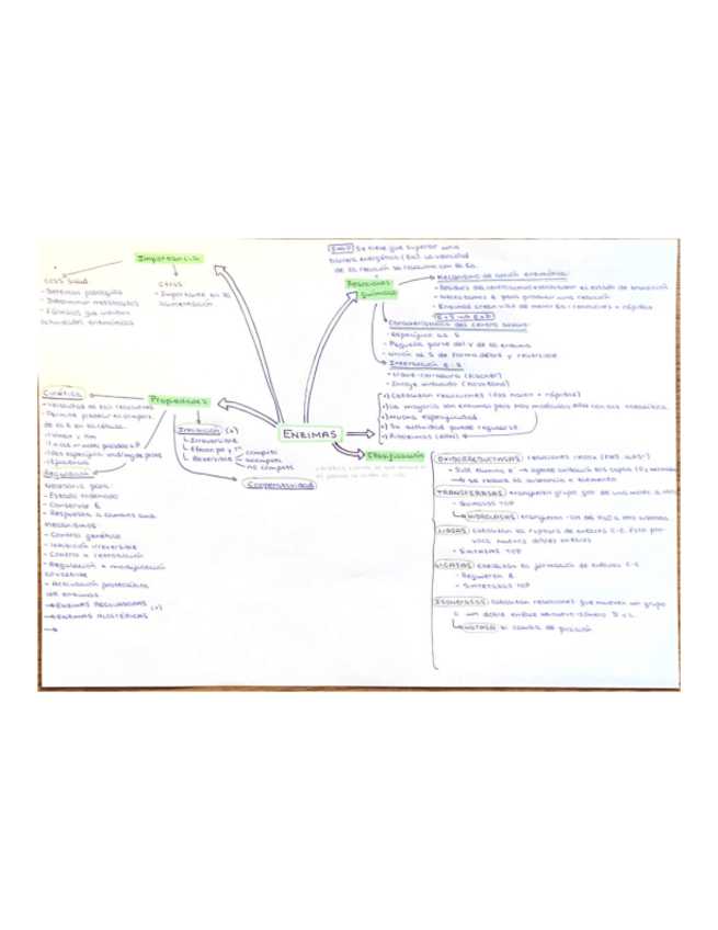 Miniatura del documento Mapa mental ENZIMAS (T.4A).pdf