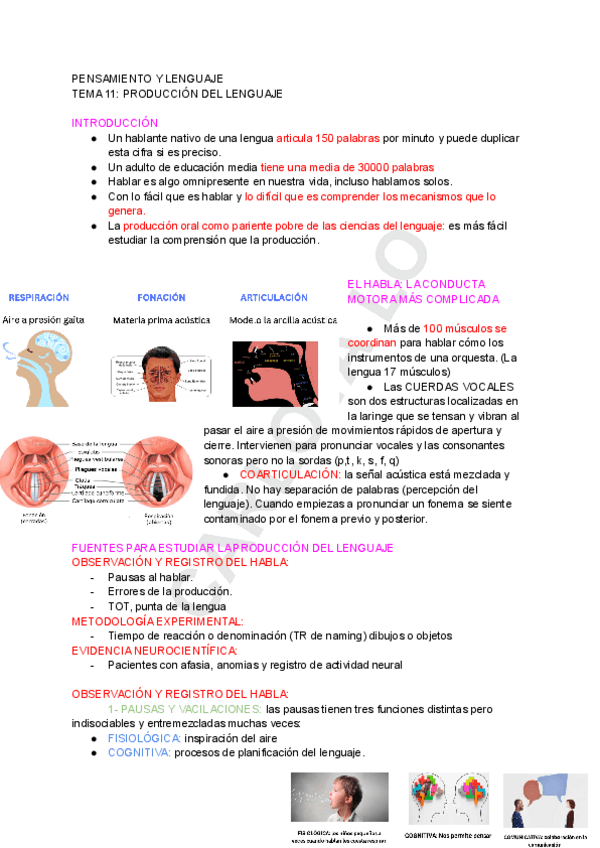 Miniatura del documento PENSAMIENTO-Y-LENGUAJE-TEMA-11.pdf