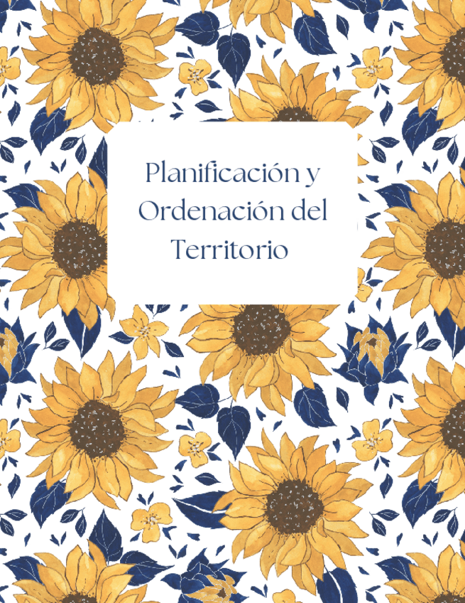 Miniatura del documento Planificacion-y-Ordenacion-del-Territorio-230109205927.pdf
