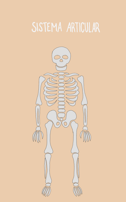 Miniatura del documento Articulaciones.pdf