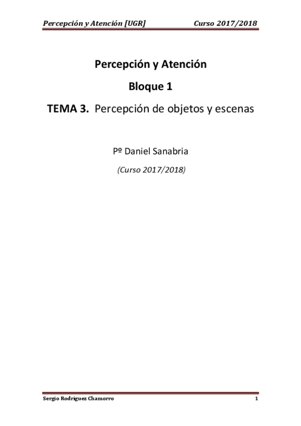 Miniatura del documento TEMA 3 Percepción.pdf