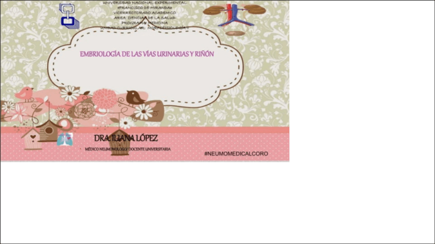 Miniatura del documento Embriología y anomalías de vías urinarias y riñón.pdf