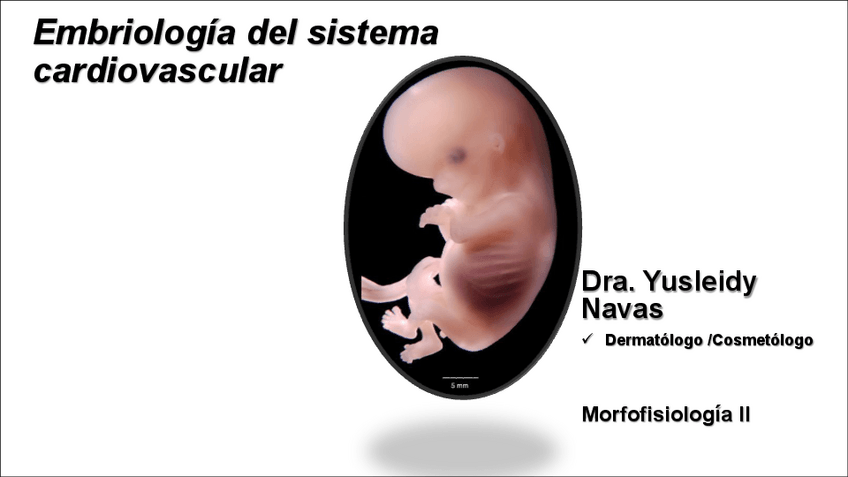 Miniatura del documento Embriología y anomalías del sistema cardiovascular.pdf