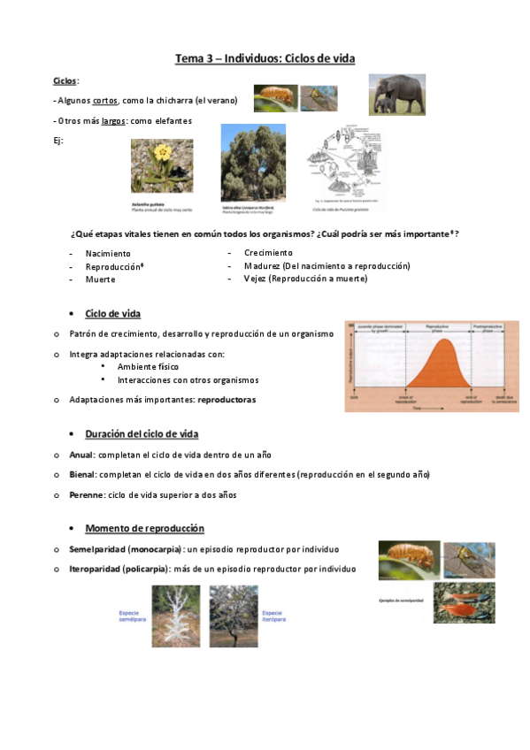 Miniatura del documento Tema-3-biodiversidad.pdf
