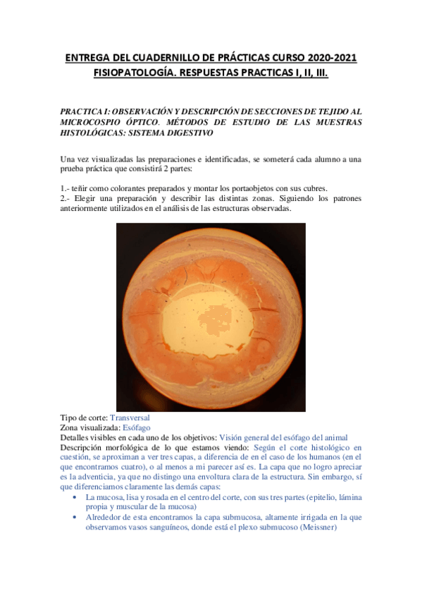 Miniatura del documento CuadernilloPracticasFisiopatologia.pdf