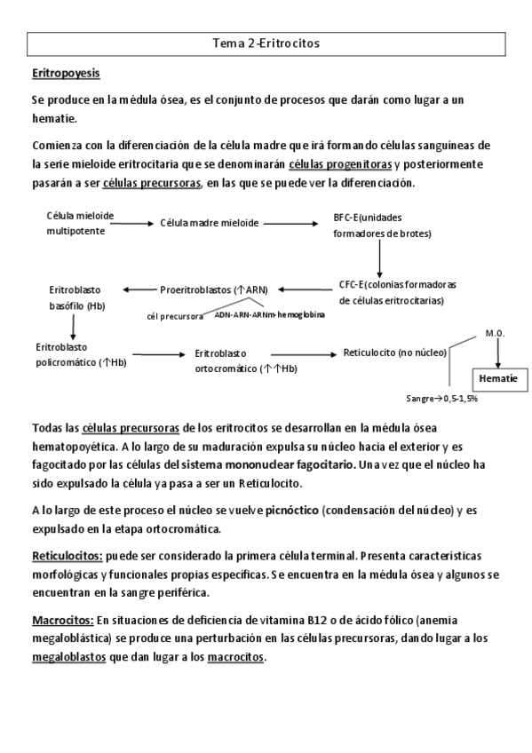Miniatura del documento Tema-2.pdf