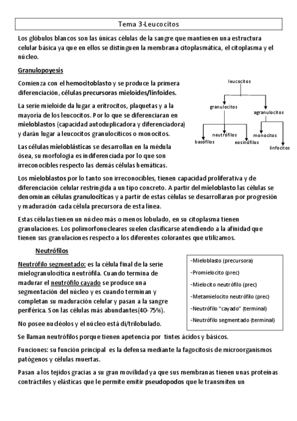 Miniatura del documento Tema-3.pdf
