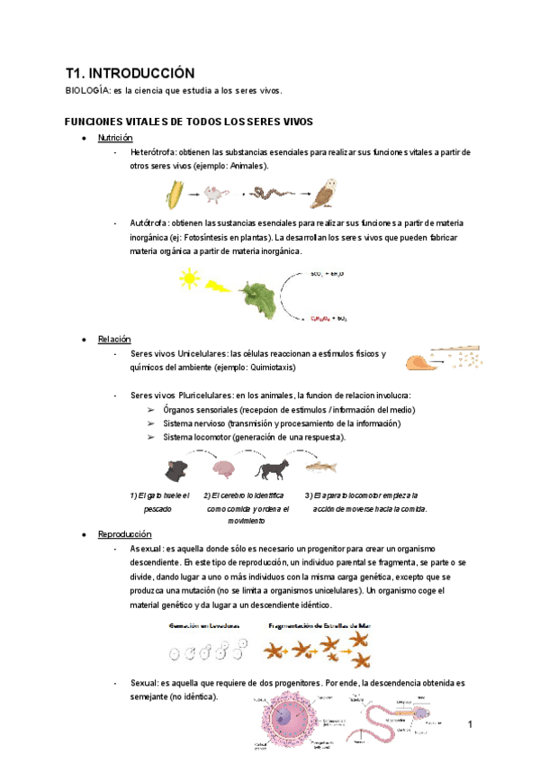 Miniatura del documento T-1.-Introduccion (Biología).pdf