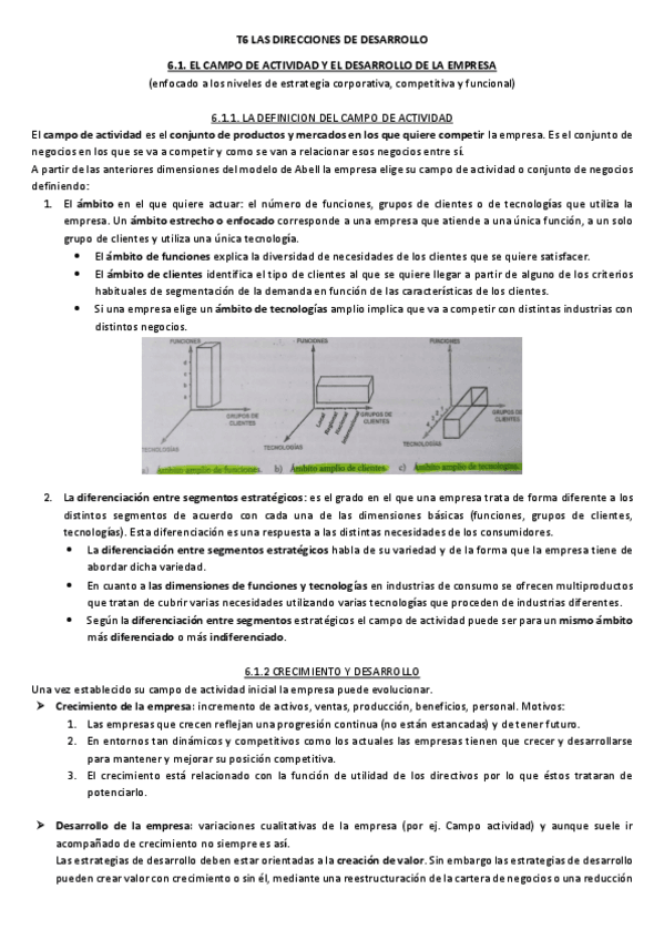 Miniatura del documento T6 LAS DIRECCIONES DE DESARROLLO.pdf