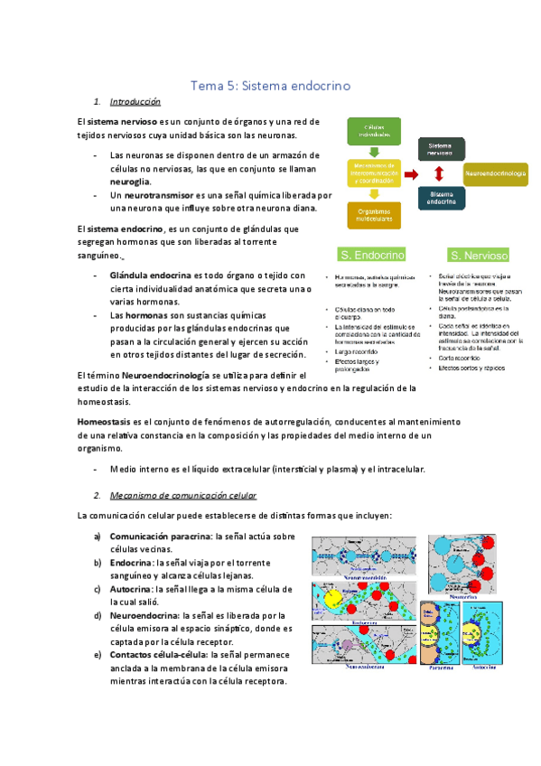 Miniatura del documento Tema-5.pdf