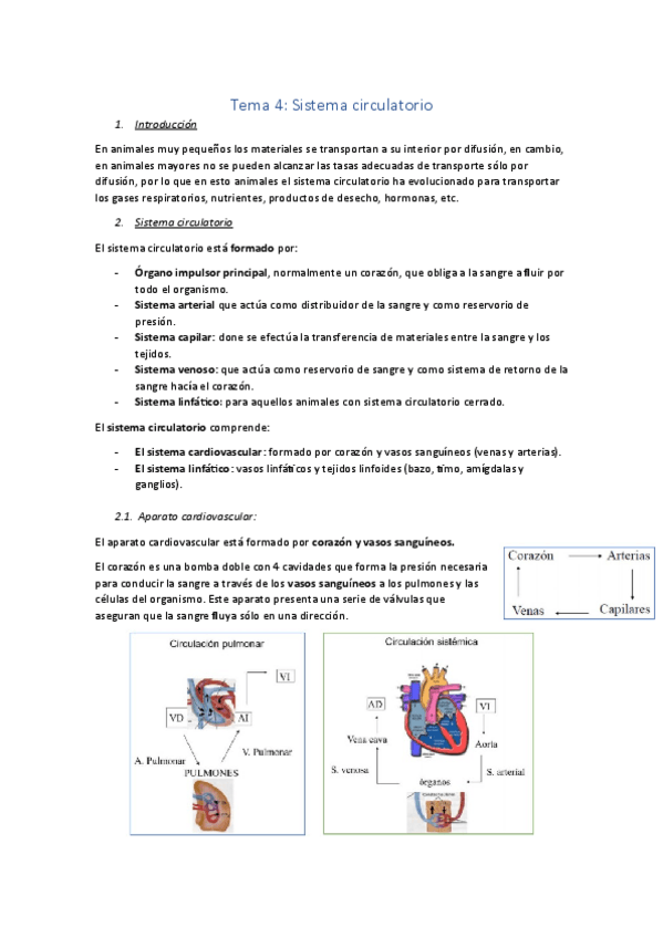 Miniatura del documento Tema-4.pdf