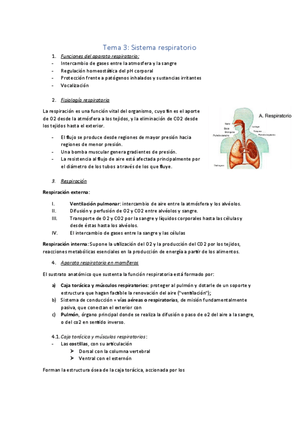 Miniatura del documento Tema-3.pdf
