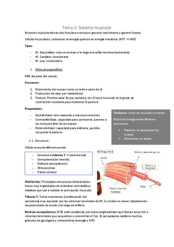 Miniatura del documento Tema-2.pdf