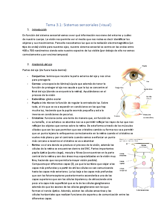 Miniatura del documento Tema-3-parte-1.pdf