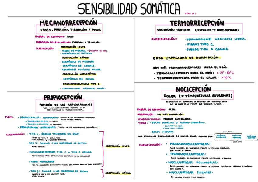 Miniatura del documento Sensibilidad-somatica-Tema-24.2..pdf
