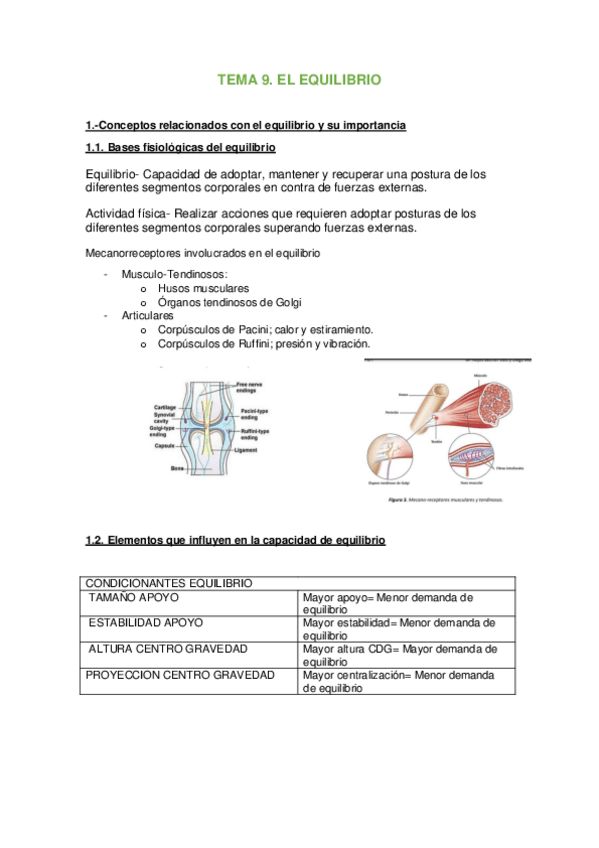 Miniatura del documento tema-9-equilibrio.pdf