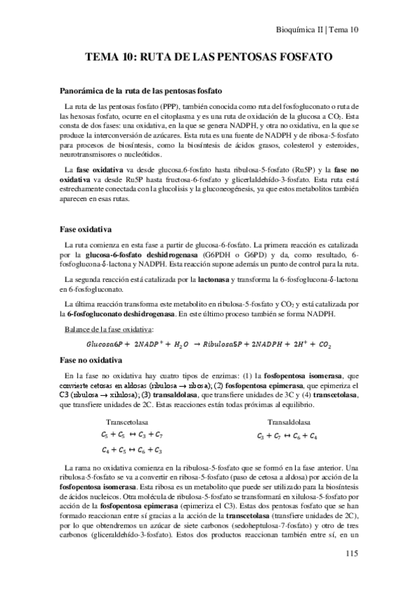 Miniatura del documento Tema-10-Ruta-de-las-Pentosas-Fosfato.pdf