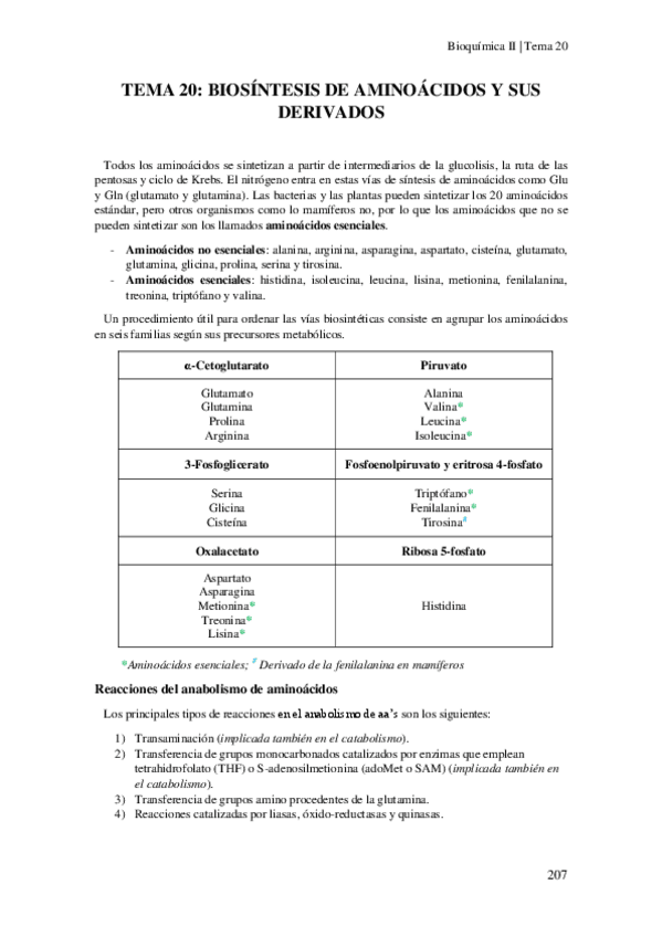 Miniatura del documento Tema-20-Biosintesis-de-aminoacidos-y-sus-derivados.pdf