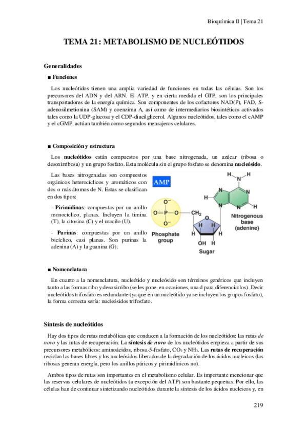 Miniatura del documento Tema-21-Metabolismo-de-nucleotidos.pdf
