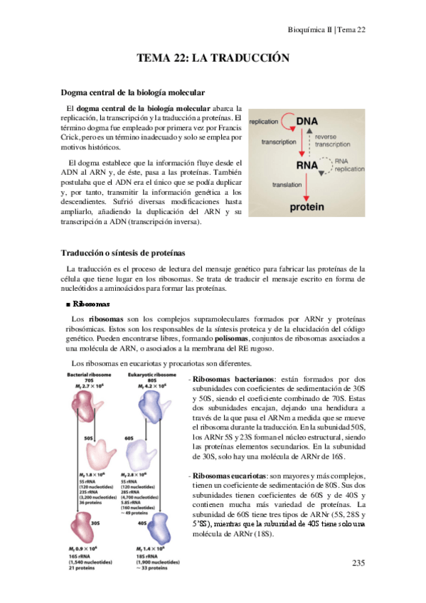 Miniatura del documento Tema-22-La-Traduccion.pdf