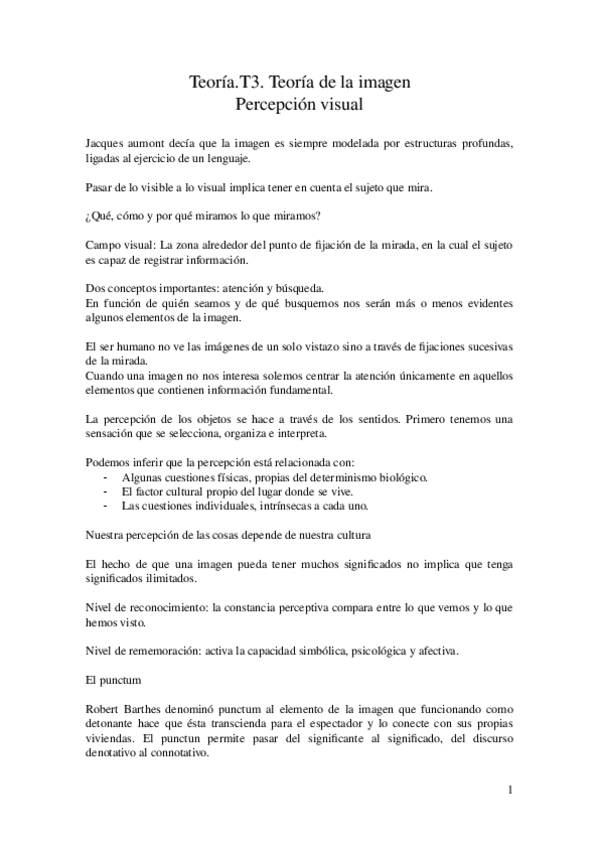 Miniatura del documento Teoria.T3.Percepcion-visual.docx