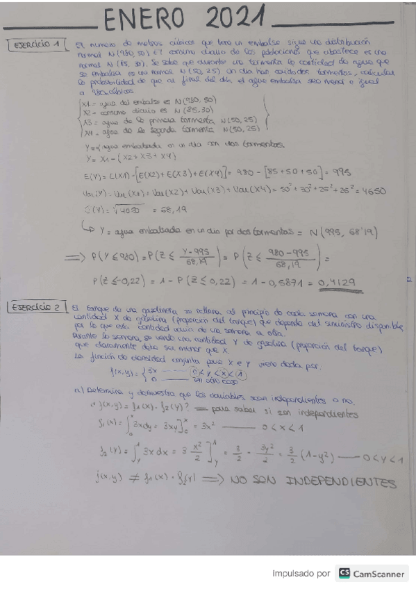 Miniatura del documento enero2021.pdf