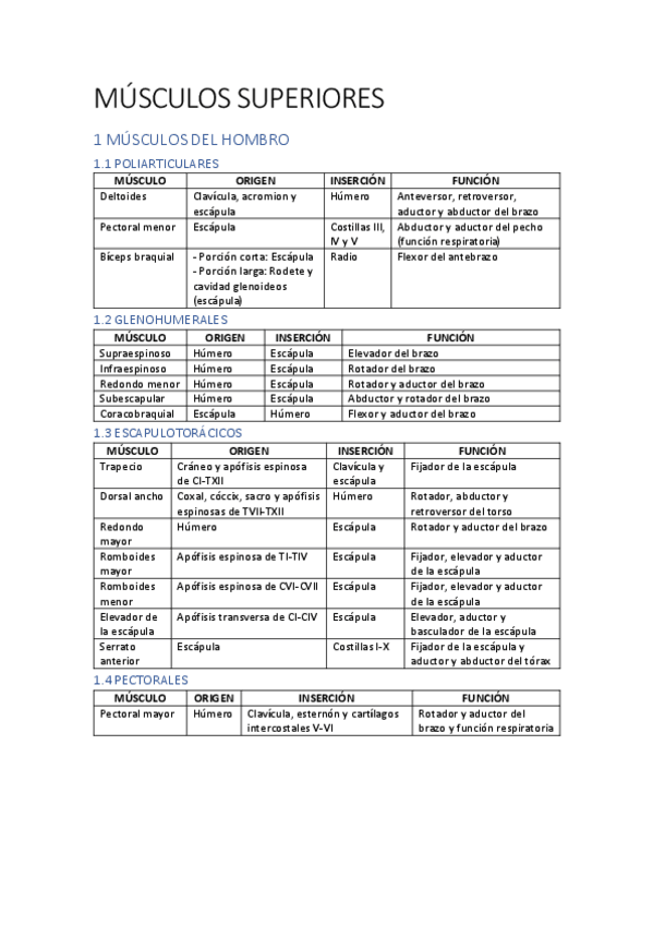 Miniatura del documento ANATOMIA-UNIDAD-II-MUSCULOS-SUPERIORES.pdf
