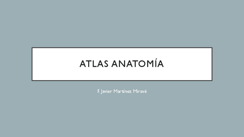 Miniatura del documento Atlas-anatomia.pdf