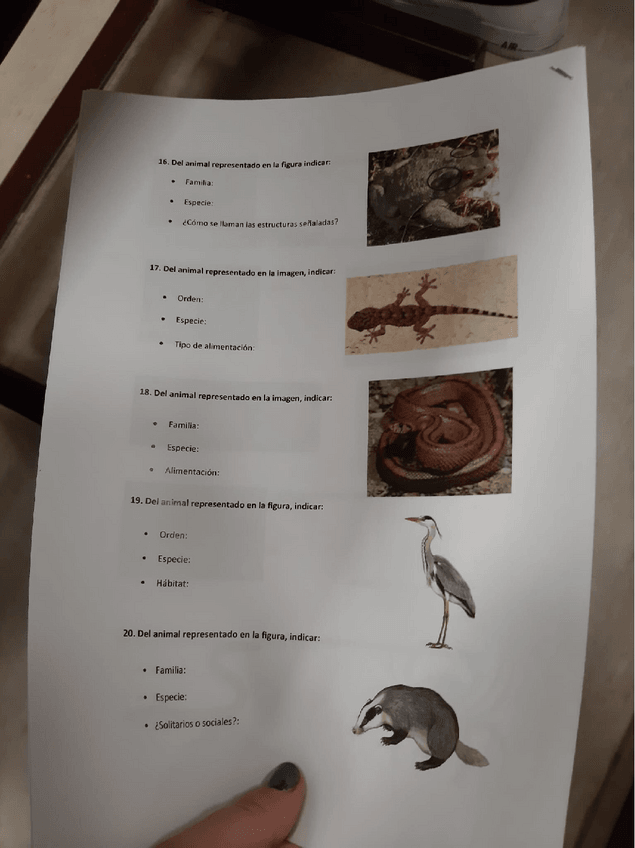 Miniatura del documento examen-practicas-zoo-2022.pdf