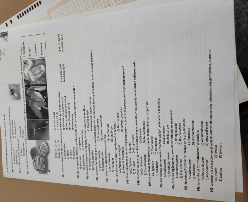 Miniatura del documento examen-fane-1.pdf