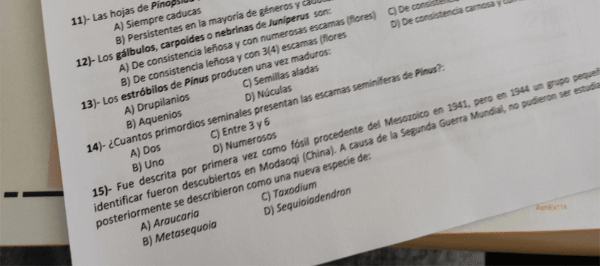 Miniatura del documento examen-fane-4.pdf