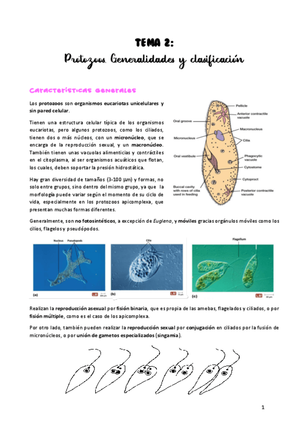 Miniatura del documento TEMA-2.pdf