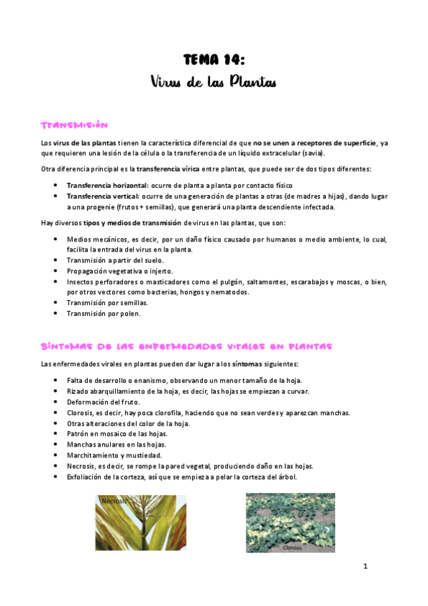 Miniatura del documento TEMA-14.pdf